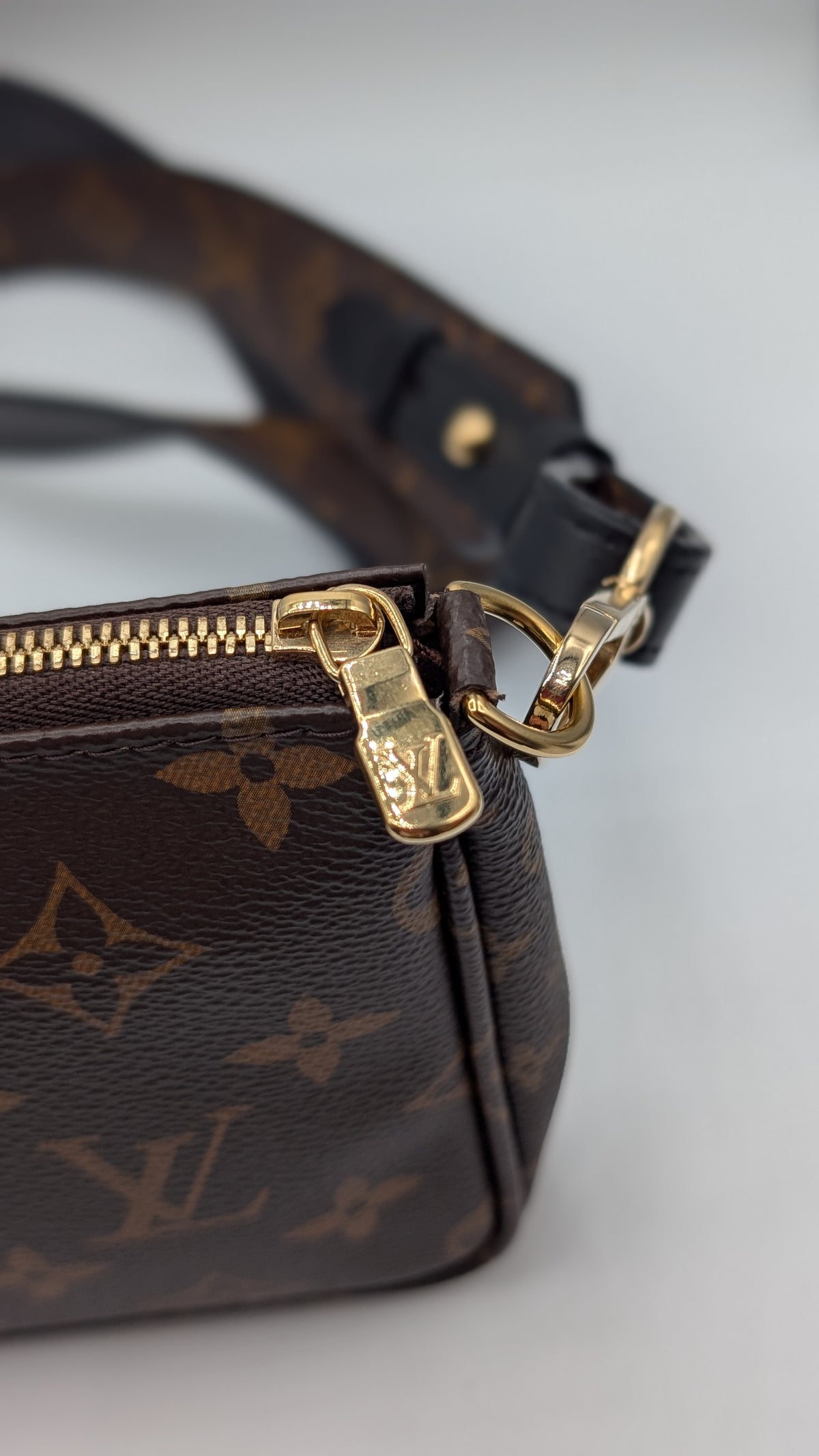 Louis Vuitton Monogram Canvas Multi Pochette