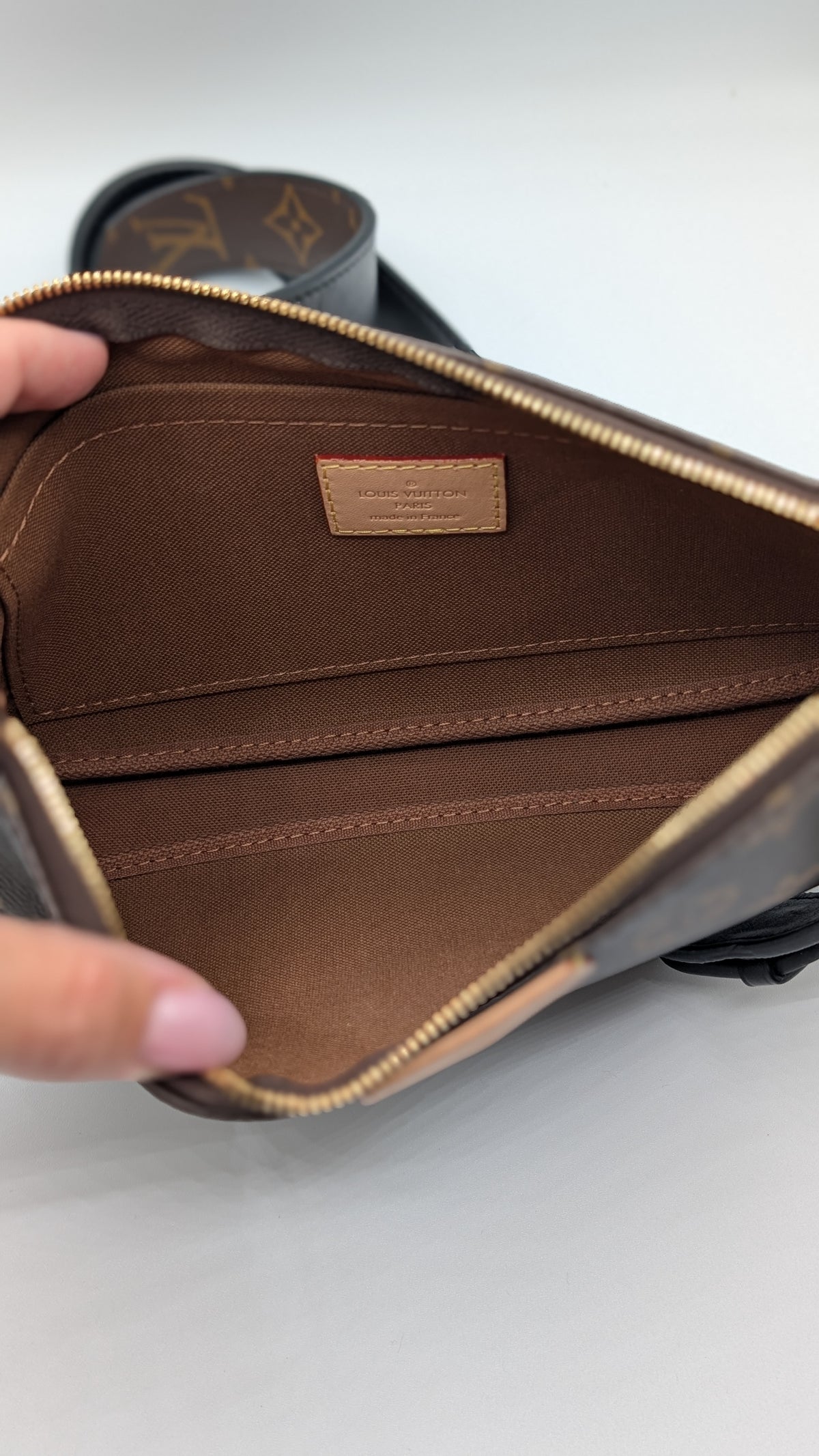 Louis Vuitton Monogram Canvas Multi Pochette
