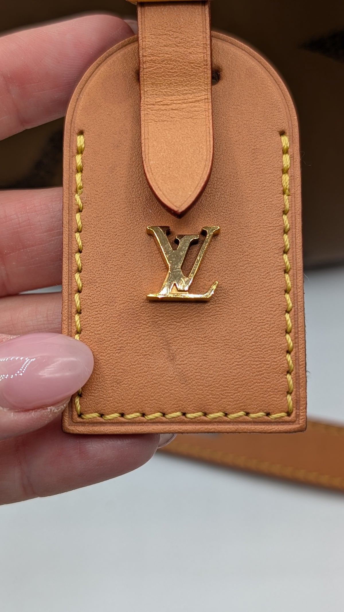 Louis Vuitton Boite Chapeau Souple Bag Reverse Monogram Giant